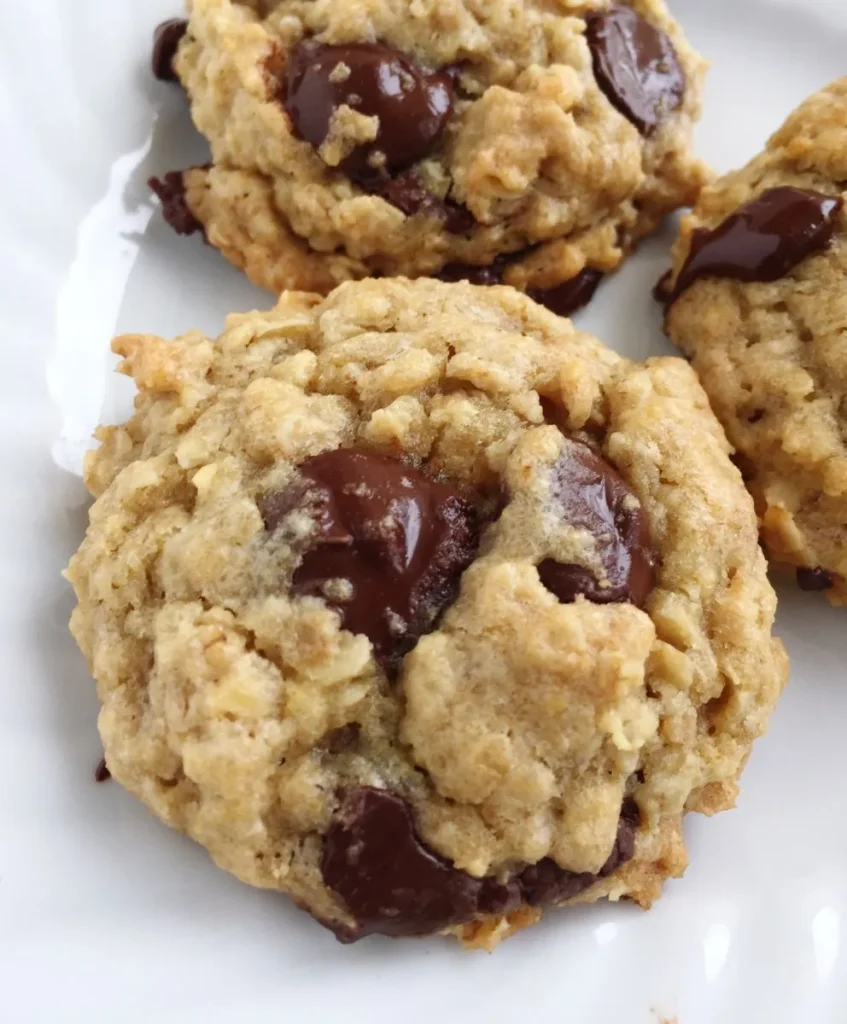 Oatmeal Chocolate Chip Cookie Recipe